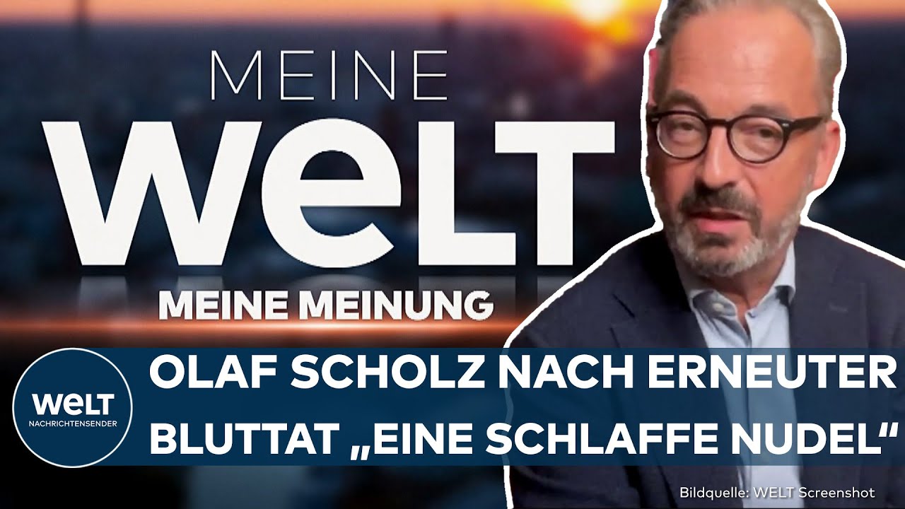 ASCHAFFENBURG: "Bei Scholz kein Verantwortungsbewusstsein, sondern eine schlaffe Nudel" | MEINUNG