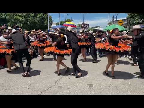 Cabrestero Guaviare castijoropazo 2025