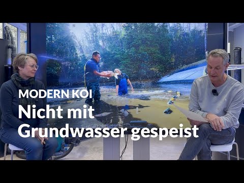 How good is the water quality in Japanese natural ponds really? | Modern Koi Blog #7930