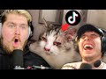 Cooked Tiktoks With The Boys
