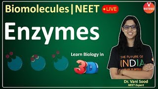 Biomolecules | Enzymes | CBSE Class 11 Biology Chapter 9 | NEET 2023/24 | Vani Ma'am
