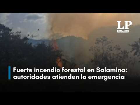 Fuerte incendio forestal en Salamina, Caldas: autoridades atienden la emergencia