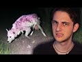 Exploring the Scariest Skinwalker Sightings. DEFAULT Thumbnail