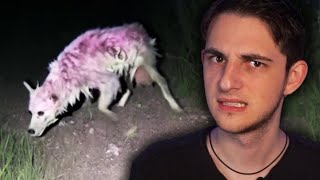 Exploring the Scariest Skinwalker Sightings. MQDEFAULT Thumbnail