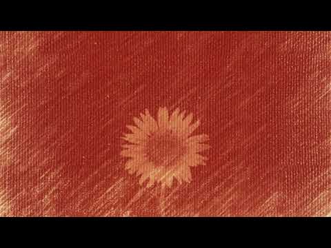 Joel Ansett - If You Really Knew (acoustic)