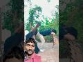 Kya Ho Raha Hay Funny Comedy Ytviralshorts Abrazkhanck91 Shorts Short Prank
