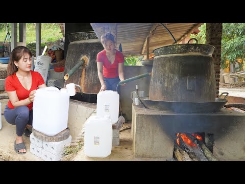 How to distill wine from wild coconut tree trunks - Wine of the Dao people - My Bushcraft