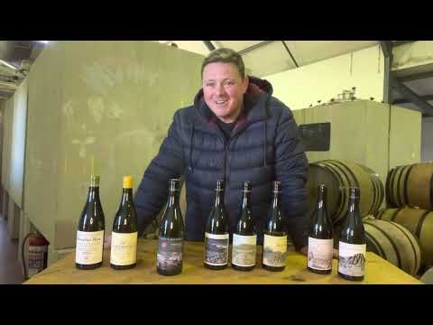 2022 New Vintage Release