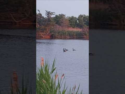 Ati sunder#mastitime #wow payar bhara nazara#hansani