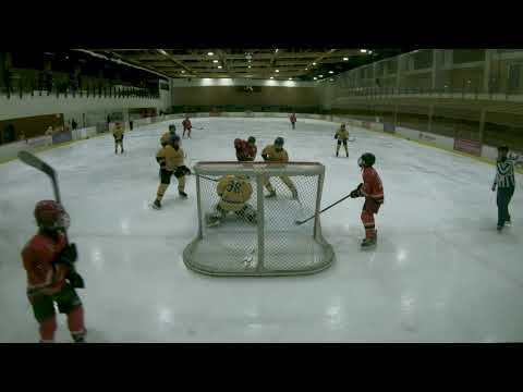 HC VIPERS 1 – HK Tornaado 8 : 0