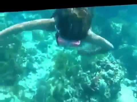 Scuba Diving   Underwater Girl Snorkeling