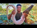 5kg Of Crocodile Grilled On Charcoal Cooking In My Village