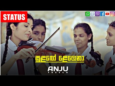 Whatsapp Status Download Video Song Sinhala