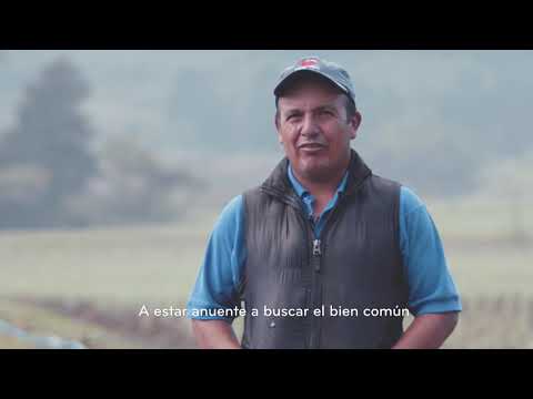 Compañía Agrícola Feriola