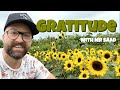 What Is Gratitude How To Practice Gratitude Teaching Kids Gratitude Charactereducation