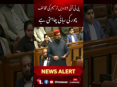 پی ٹی آئی 27ویں ترمیم کی مخالفت کرکے چور کو چھڑوانا چاہتی ہے، ایمل