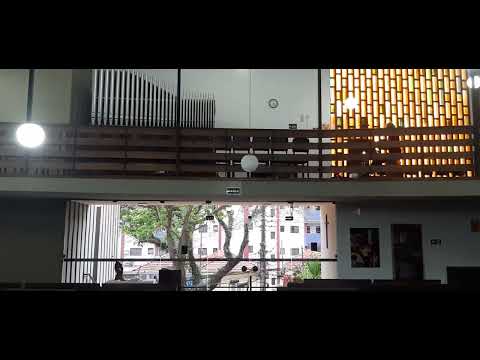 LCI 576   Jesus, pastor amado!