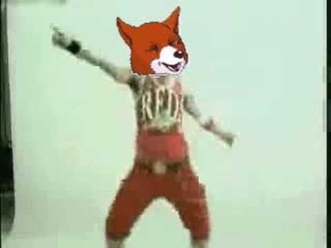 The Secret life of foxy Bingo