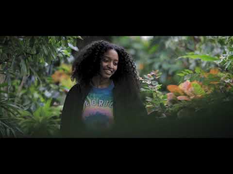 Planting Fields Arboretum