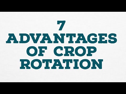 7 ADVANTAGES OF CROP ROTATION