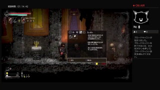 ＃1【salt and sanctuary】LEMONed　初見