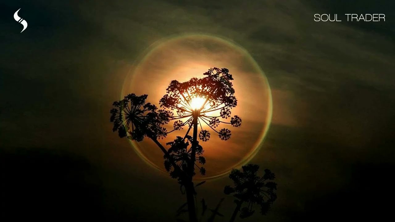 Meanderman - People Making Things