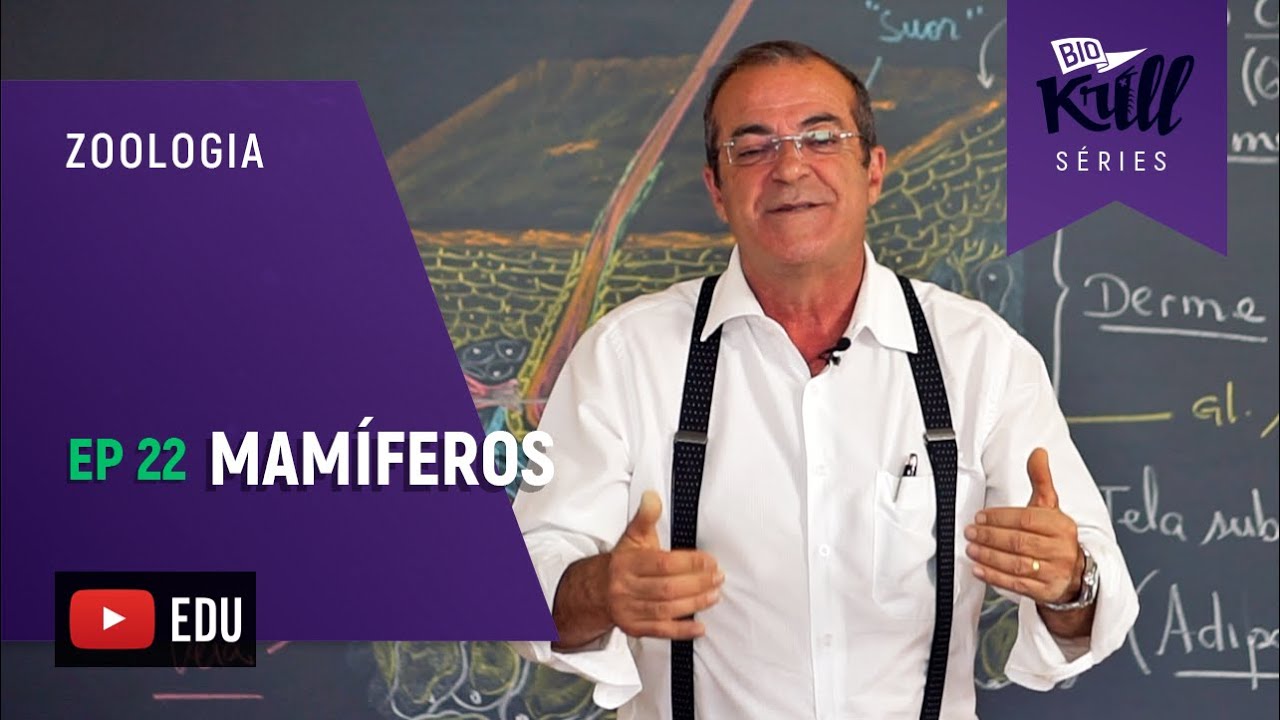 Mamíferos (Zoologia - EP22) I Biokrill Séries