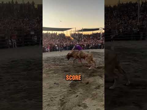 Bull Riding Is Intense! (@diegos_4500)