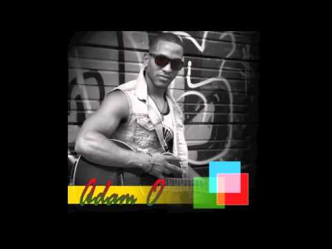 Girls Love Beyonce (Remix) by Adam O