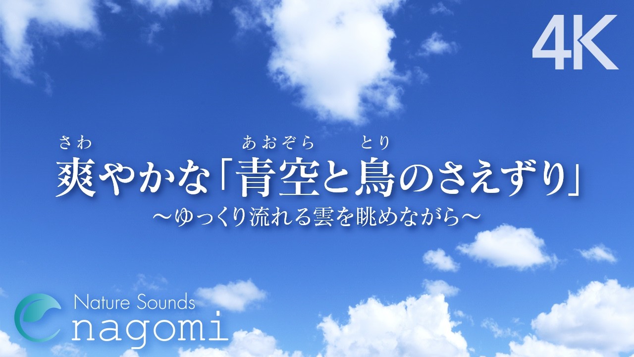 【自然音ASMR】爽やかな「青空と鳥のさえずり」｜勉強・集中・リラックス・睡眠・読書｜心地よい癒しの自然音