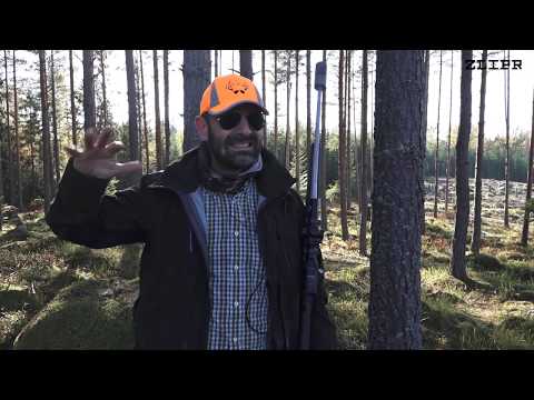 Grym drevjakt i Östergötland