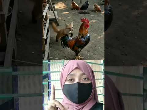 একেই বলে চোরের উপর বা টপারি। #reels #viral #trending #Amazing