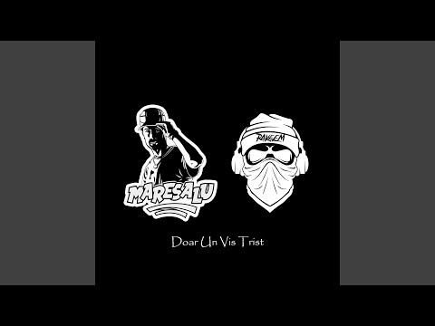 Doar Un Vis Trist (feat. RakeemRomania)