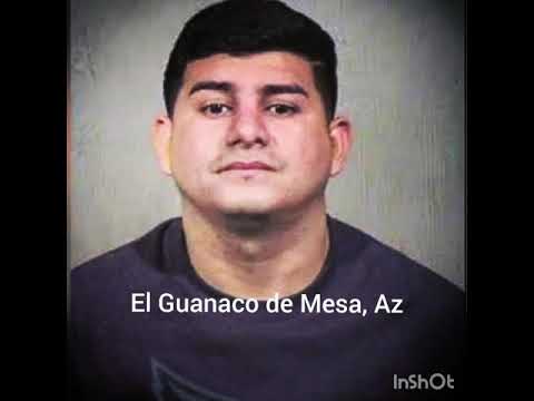 El Guanaco - Grupo Herencia