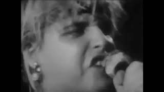 The Gun Club Fire Spirit live 1983