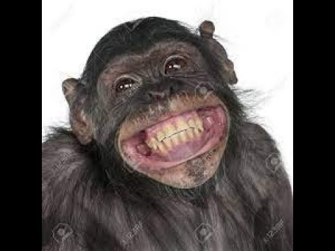 When eres orgullosamente mexicano: