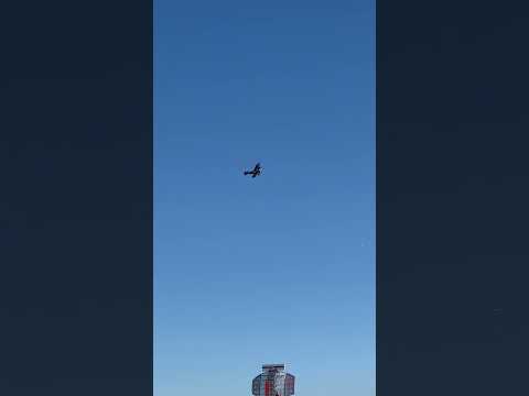 Sopwith puppeteer 4 Stroke