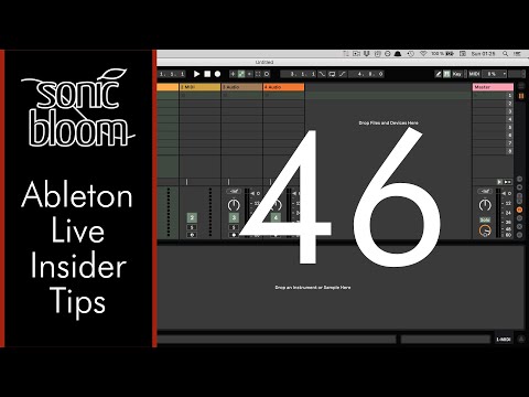 Ableton Live Insider Tips: Sichern oder Kopieren von Sammlungen auf einen anderen Computer