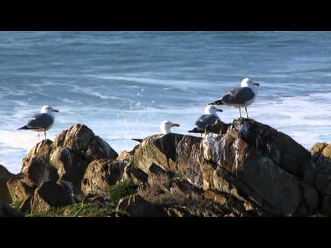 Documentario il Gargano ed il Gusmay Resort di Peschici