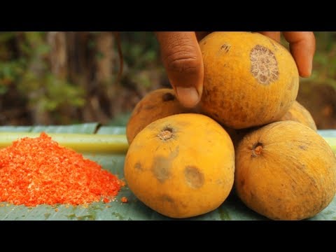 Survival skills: Natural Santos fruit Eating delicious (EATING NO TALKING)
