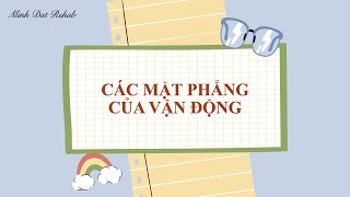 Các mặt phẳng của vận động