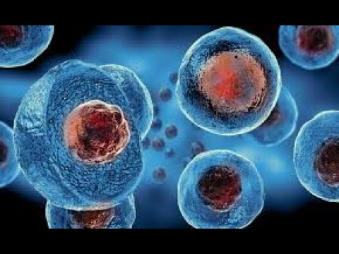 Paródia - O nome dela é Célula / o nome dela é Jennifer