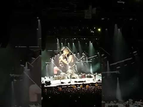 Foo Fighters Pull University of South Carolina Student Onstage to Play Drums