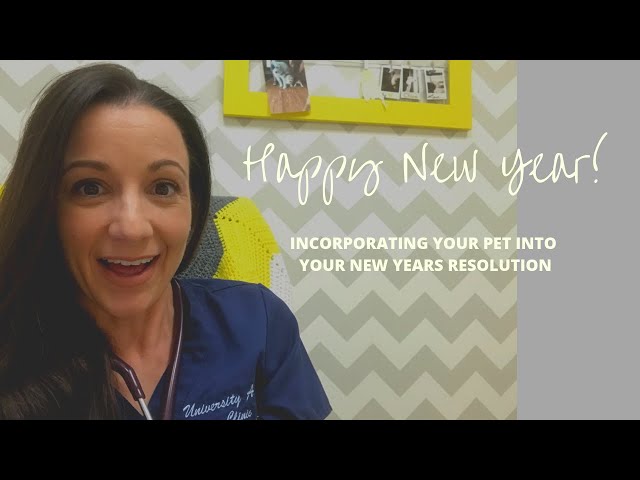 Incorporating your pet into your New Years resolution!!