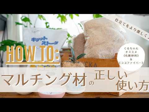 園芸 ココナッツ