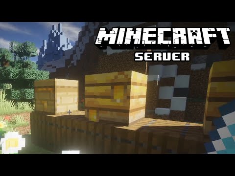 MINECRAFT ☀️ S06E51 • Bäumen bringen immer was! • LET'S PLAY MINECRAFT