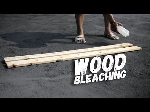 download lagu mp3 mp4 Bleaching Wood With Clorox, download lagu Bleaching Wood With Clorox gratis, unduh video klip Bleaching Wood With Clorox