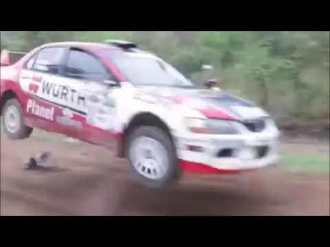 Машина пронеслась над собакой (The car sped over the dog)