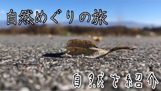 【オシャレ】オシャレな自然の旅へ出発します！！