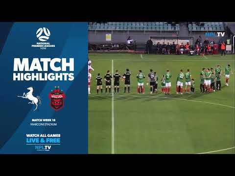 NPL NSW Men's Round 18 Fixture – Marconi Stallions v Wollongong Wolves